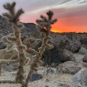 Meet your Posher, Bill